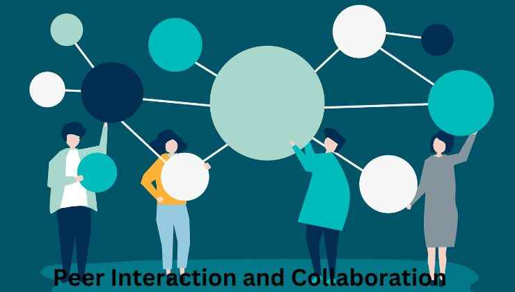 Peer Interaction and Collaboration