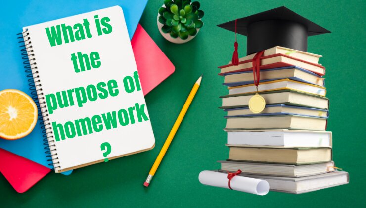 What is the purpose of homework?